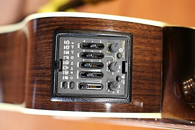 Takamine P5DC
