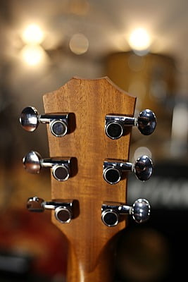 Taylor GS mini