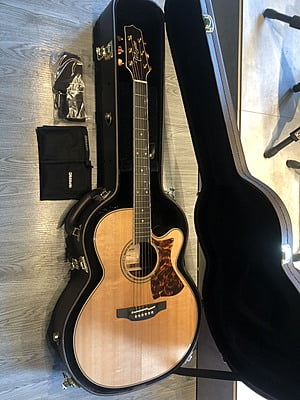 Takamine DMP50S Acoustic Takamine DMP50S Acoustic