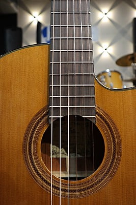 Aria A-35CE Aria A-35CE
