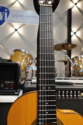 Cordoba 55 FCE thinbody