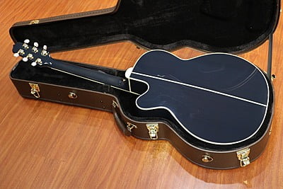 takamine DMP500 custom takumi