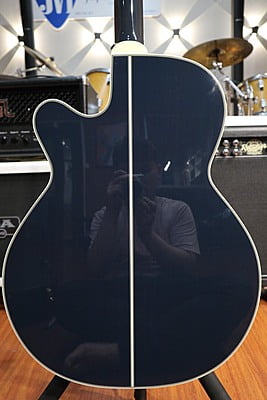 takamine DMP500 custom takumi