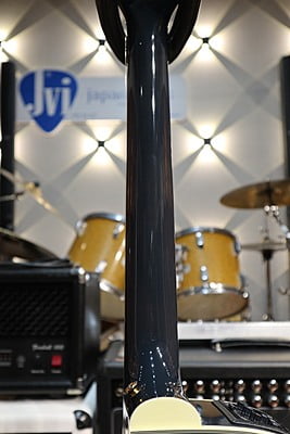 takamine DMP500 custom takumi
