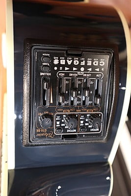 takamine DMP500 custom takumi