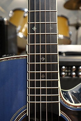 takamine DMP500 custom takumi