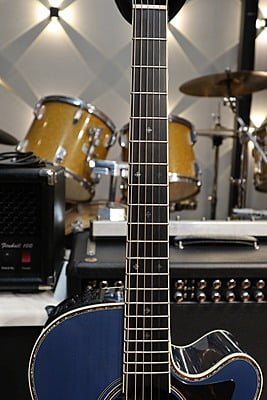 takamine DMP500 custom takumi