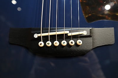 takamine DMP500 custom takumi