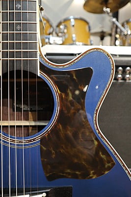 takamine DMP500 custom takumi