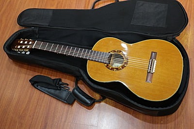 takamine T GL 1