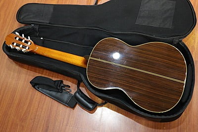 takamine T GL 1