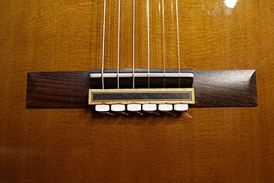 takamine T GL 1
