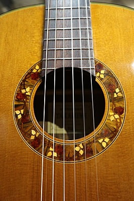takamine T GL 1