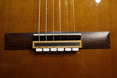 takamine T GL 1