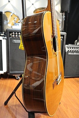 takamine T GL 1