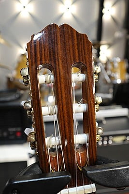 takamine T GL 1