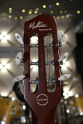 godin multiac apectrum SA