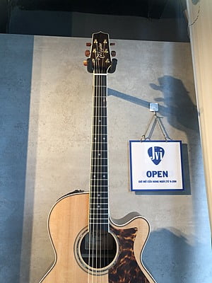 Takamine DMP50S Acoustic Takamine DMP50S Acoustic
