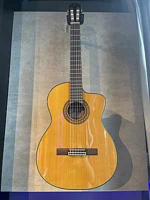 takamine TC132FC