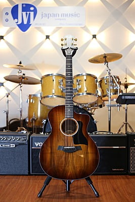 Taylor 224