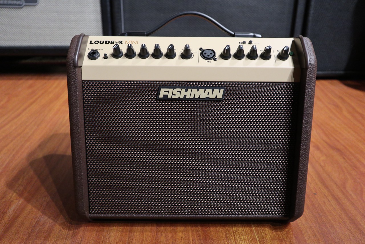 Fishman Loudbox mini có Bluetooth
