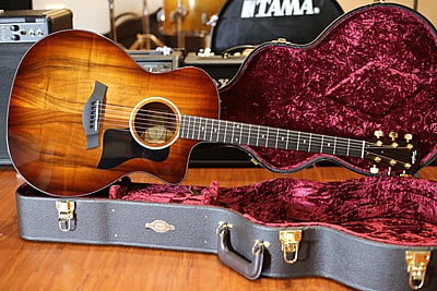 Taylor 224