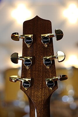 Takamine P5DC