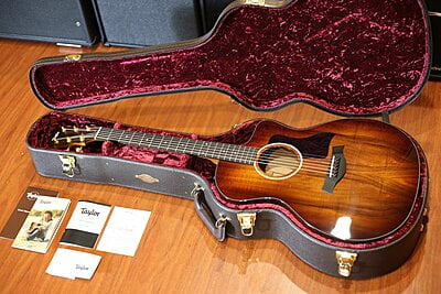 Taylor 224