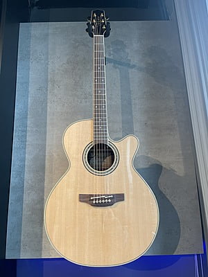 Takamine 500 custom