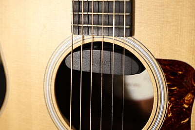 Taylor GS mini