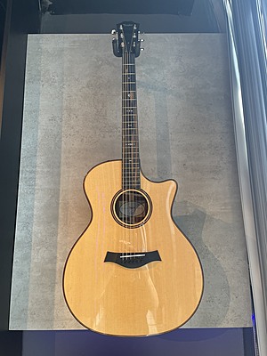 taylor custom GA-LTD taylor custom GA-LTD