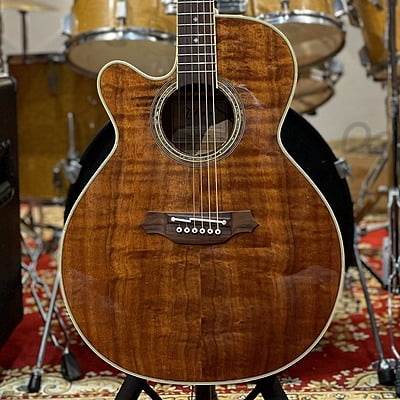 Takamine TDP531 tay trái