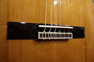 Aria A-35CE Aria A-35CE
