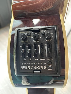 Takamine 500 custom Takamine 500 custom