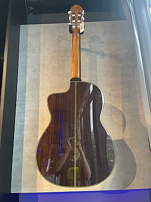 takamine TC132FC