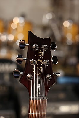 Prs s2 custom