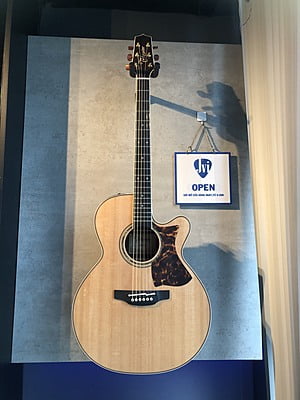 Takamine DMP50S Acoustic