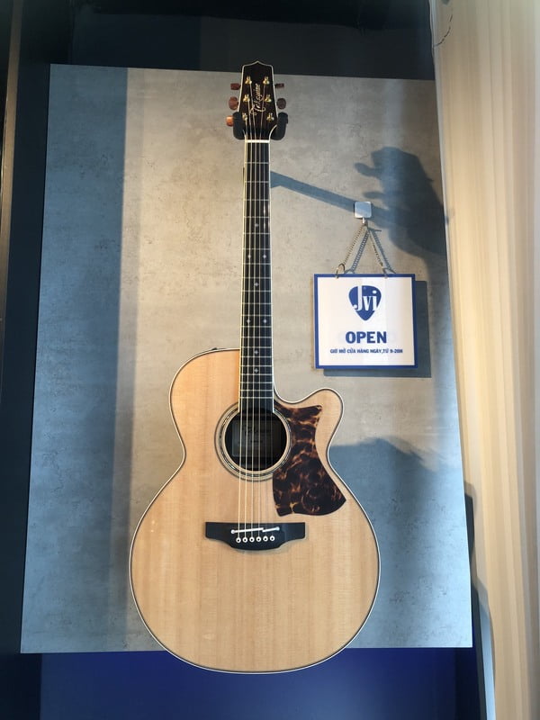 Takamine DMP50S Acoustic Takamine DMP50S Acoustic