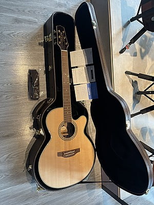 Takamine 500 custom Takamine 500 custom