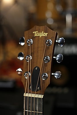 Taylor GS mini