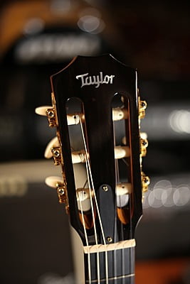 Taylor 914 ce-N Classic