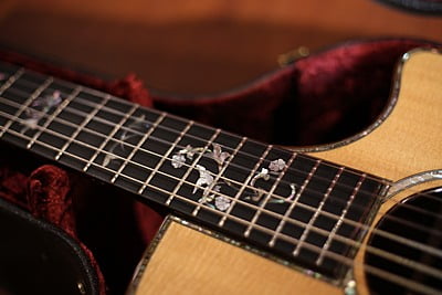 Taylor 914 ce-N Classic