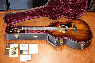 Taylor 224