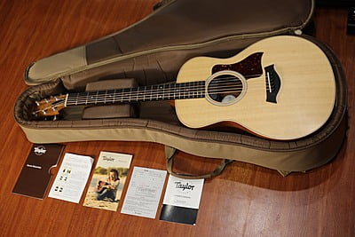 Taylor GS mini