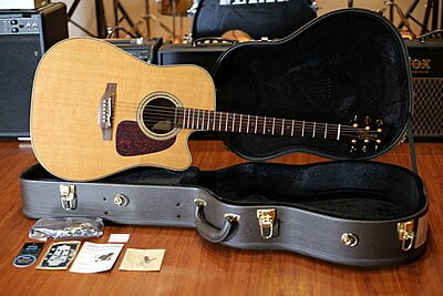 Takamine P5DC