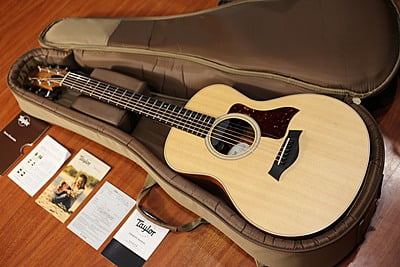 Taylor GS mini