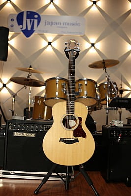 Taylor GS mini