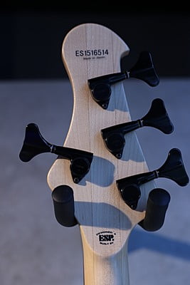 e-ii stream bass