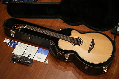 Takamine P3FCN ( đã bán hộp)