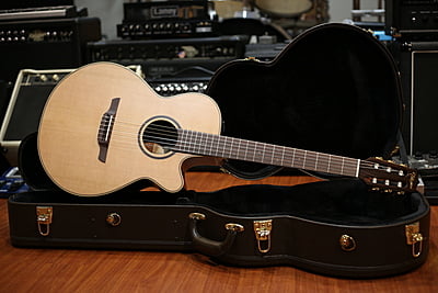 Takamine P3FCN ( đã bán hộp)